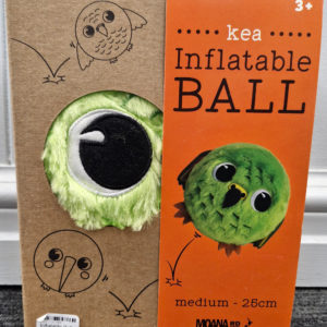 Inflatable Ball Medium