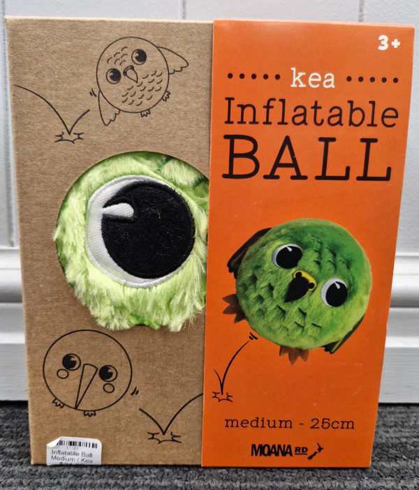 Inflatable Ball Medium