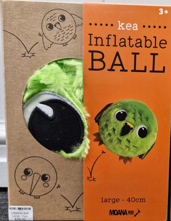 Inflatable Ball Large