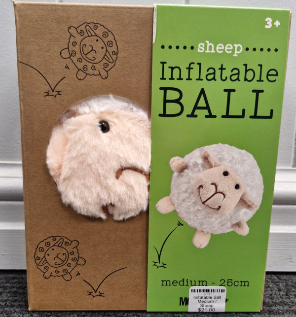 Inflatable Ball Medium - Image 3
